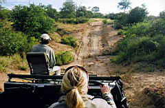 d view akeru scan550.jpg